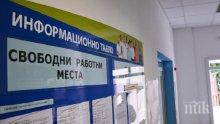 Двойно по-ниско е нивото на безработицата в Плевен