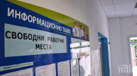 двойно ниско нивото безработицата плевен