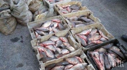 продължава акцията бракониерите бургаско