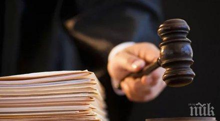 германски съд гледа делото отнетото социалните служби българче