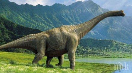 учени казаха причината изчезването динозаврите