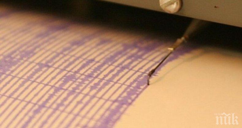 Земетресение с магнитуд 4.8 по Рихтер бе регистрирано на Камчатка