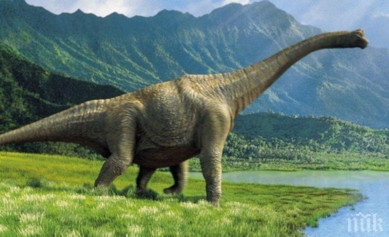 Учени казаха причината за изчезването на динозаврите