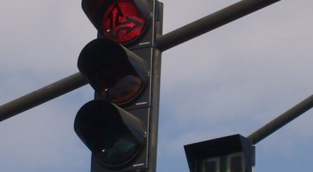 шофьор осъди община бона