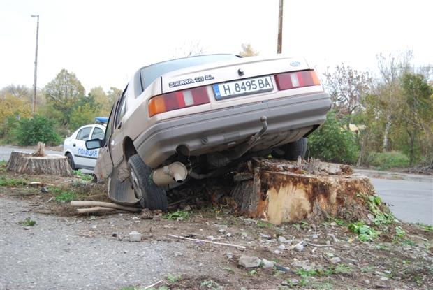Форд кацна на дърво в Шумен