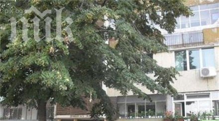 съпругата бивш затворник изчезна мистериозно русе