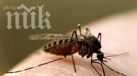 комарите избират жертвите критерия