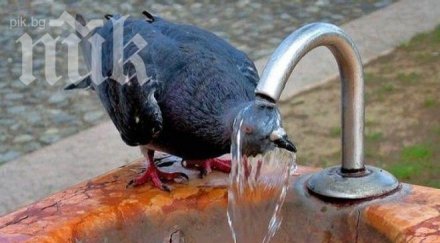 внимание опасни жеги