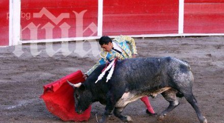 испанските тореадори обявиха стачка