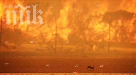 пожар избухна ивайловград