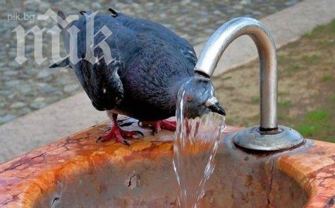 Внимание! Опасни жеги днес