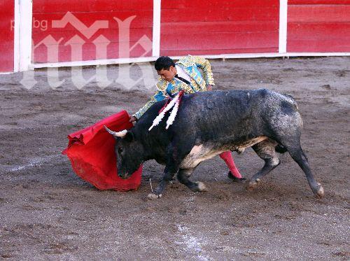 Испанските тореадори обявиха стачка