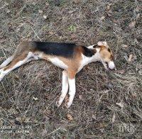 Софиянци от 