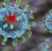 Първи предполагаеми случаи на заразени с новия коронавирус в Португалия и Канада

 
