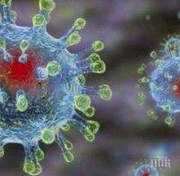 Трети случай на коронавирус във Франция и първи в Австралия