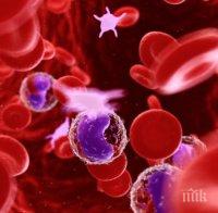 Лекари специалисти с важни разкрития има ли шанс да можем да лекуваме рака