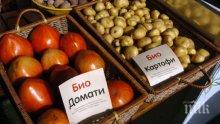 Хванаха гръцки био домати менте