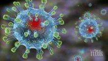 Първи предполагаеми случаи на заразени с новия коронавирус в Португалия и Канада