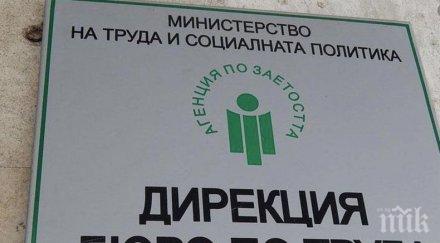 търсените специалисти трудовия пазар година