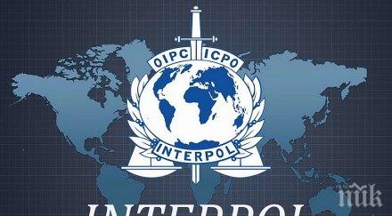 мега операция интерпол спасиха десетки жертви трафик балканите