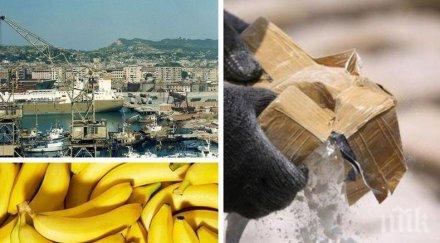 албания бие сащ великобритания консумация кокаин