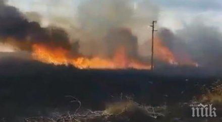 прокуратурата добрич образува досъдебно производство дуранкулашкото езеро