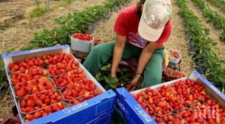 лондон лоши новини всички работещи българи