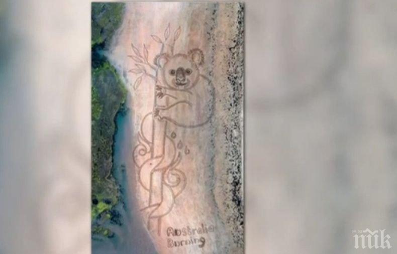 120-метрова пясъчна коала се появи на австралийски плаж