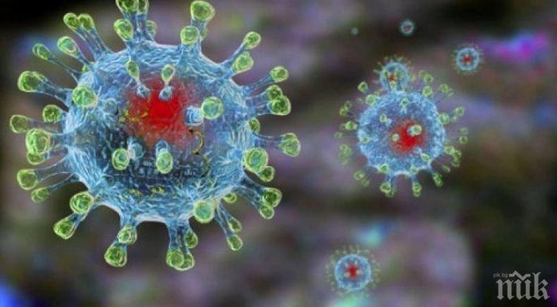 Властите в Бразилия подозират случай на коронавирус