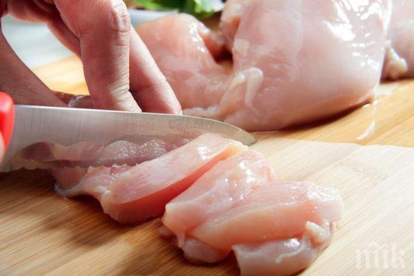 ЕС забрани вноса на птиче месо от Украйна