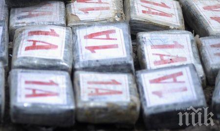 Удар: Откриха половин тон кокаин в кашони с банани на пазар край Париж