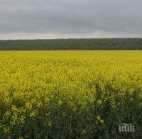 Готвят нови четири защитени зони по „Натура 2000“