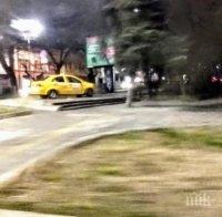 Таксиджия намери цаката на паяка в Пловдив
