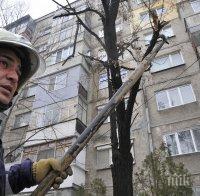 Силният вятър в София изпочупи клони