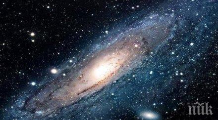 звездите говорят ядосвайте денят любов смирение прошка