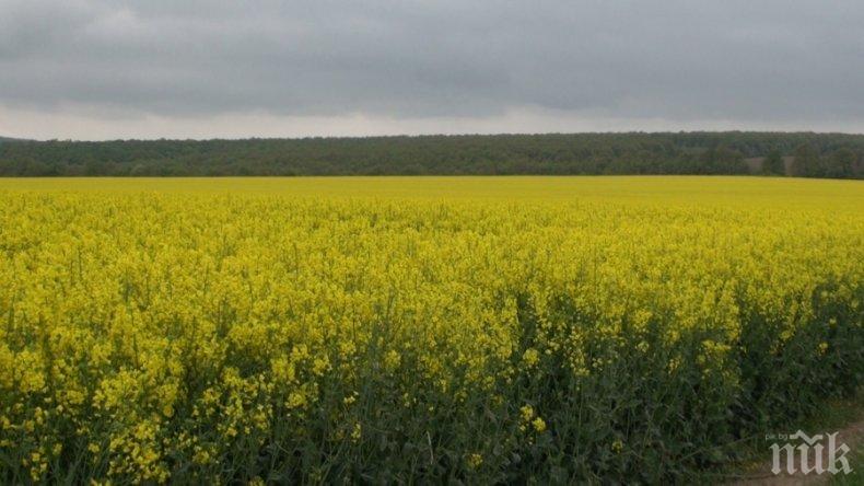 Готвят нови четири защитени зони по „Натура 2000“