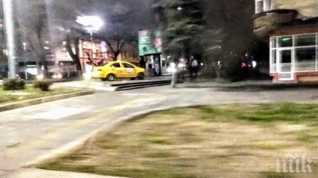 Таксиджия намери цаката на паяка в Пловдив
