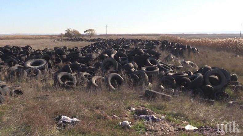 Прокуратурата издирва собственика на незаконно депо за гуми  
