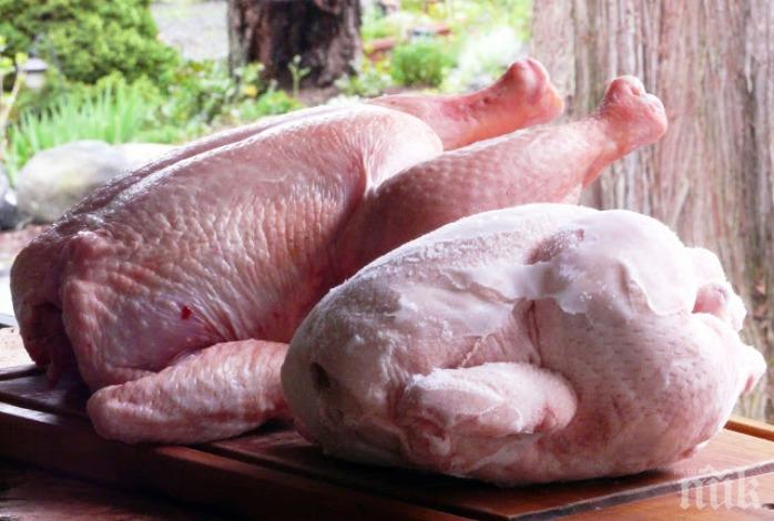 ХУМАННО: Франция спира избиването на мъжките пилета в птицефермите