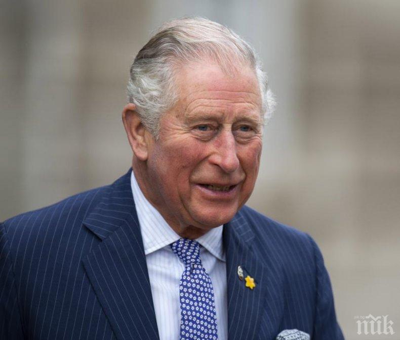 Принц Чарлз иска да лети на дипломатическа мисия до Иран