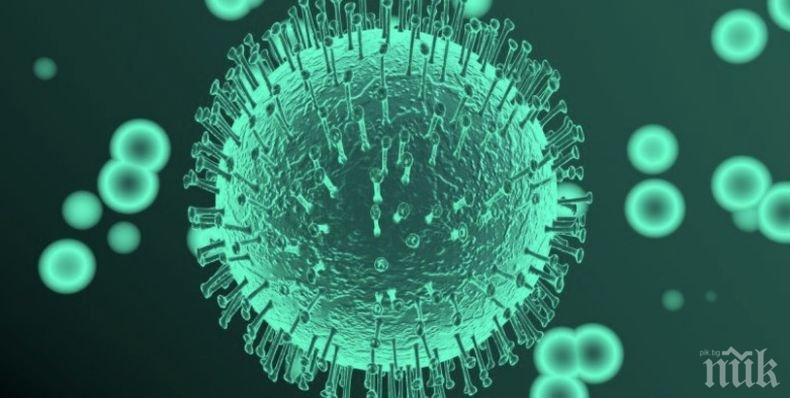 Четирима души са настанени в болници в Чехия заради съмнения за заразяване с коронавирус
