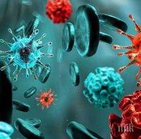 Как да се предпазим от вредните токсини