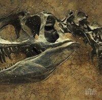 Откриха следи от необичаен вид месоядни динозаври в Австралия
