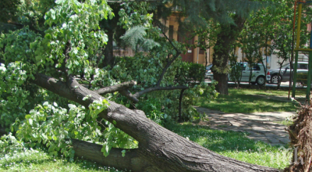 полицията апелира водачите шофират повишено внимание