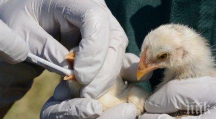 кметовете сливенско разясняват мерките инфлуенца