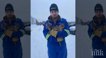 нефтен работник спаси котенца измръзване горещо кафе видео