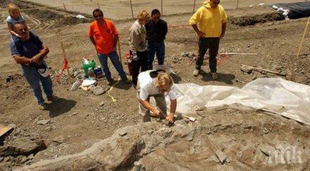 сензация учени проникнаха черепа един древните хищници планетата