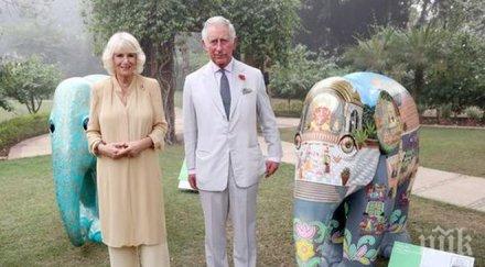 бомба острова принц чарлз камила извънбрачен син