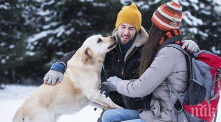проучване разкри мъжът глези повече кучето отколкото жената децата