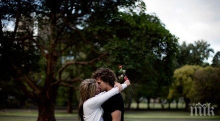 често правят секс щастливите двойки